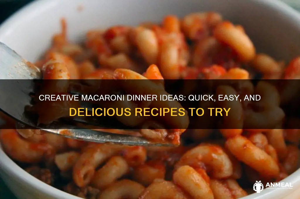 what to do with macaroni for dinner
