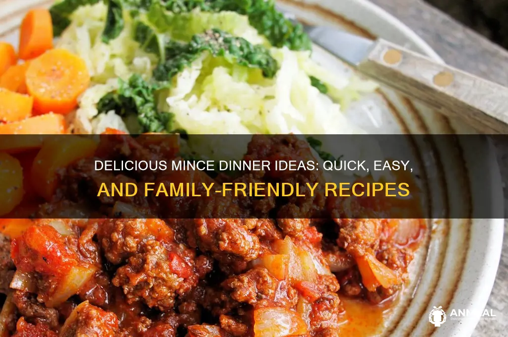 what to do with mince for dinner