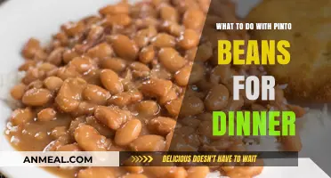 Delicious Dinner Ideas: Creative Ways to Cook Pinto Beans Tonight