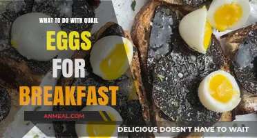 Delicious Quail Egg Breakfast Ideas: Creative Ways to Start Your Day
