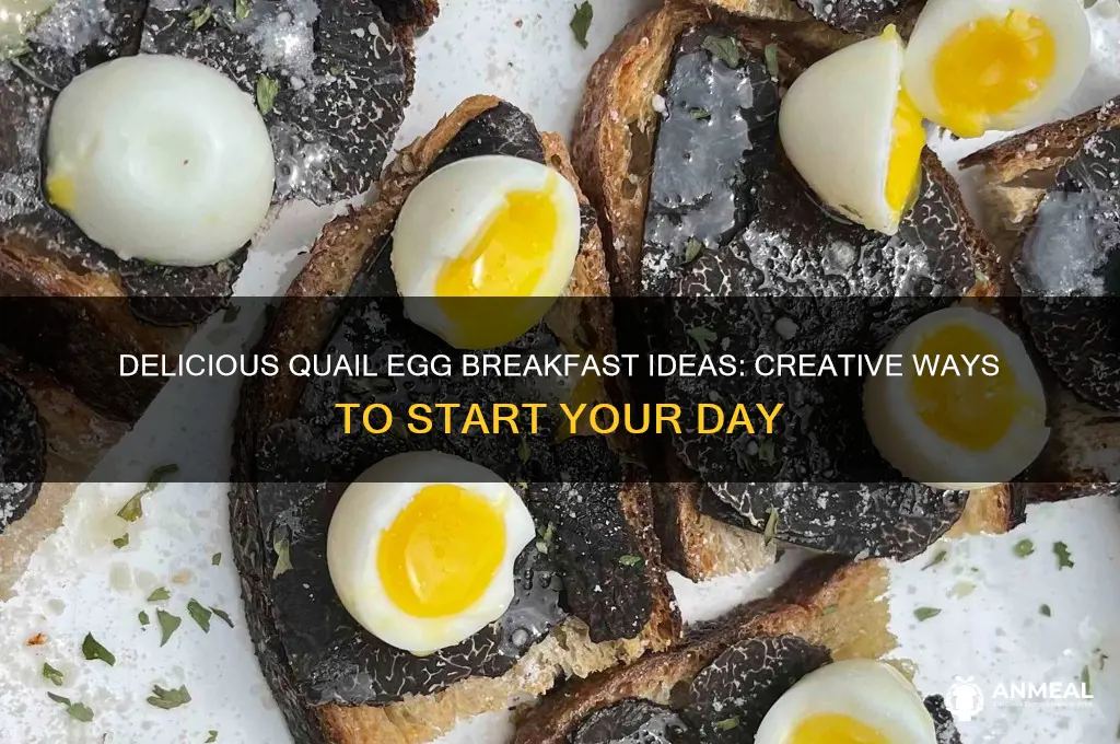 what to do with quail eggs for breakfast