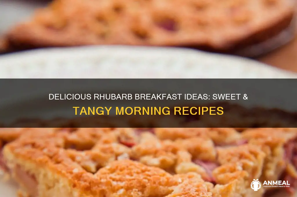 what to do with rhubarb for breakfast