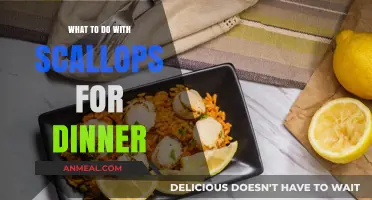 Scallop Dinner Ideas: Quick, Easy, and Delicious Recipes to Try Tonight