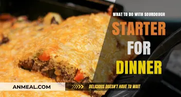 Creative Sourdough Starter Dinner Ideas: Delicious Recipes to Try Tonight
