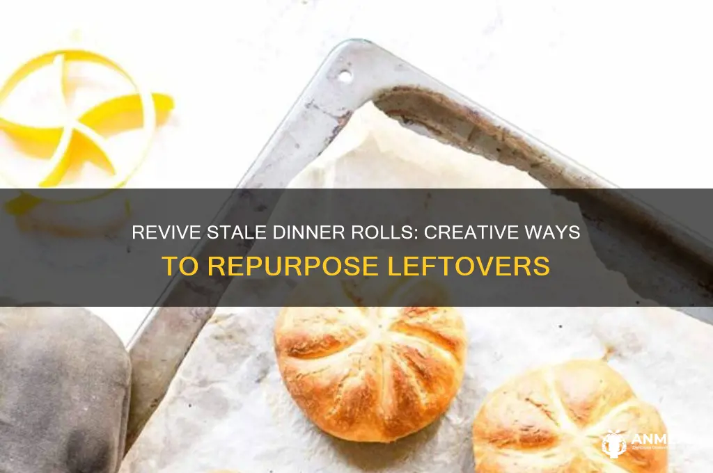what to do with stale dinner rolls