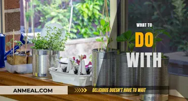 Creative Ways to Repurpose, Reuse, and Revitalize Your Unused Items