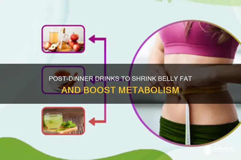 what to drink after dinner to lose belly fat