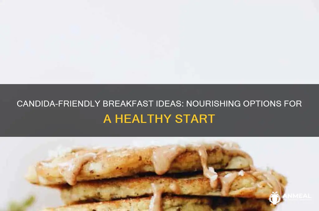 what to east for breakfast on candida yeast diet