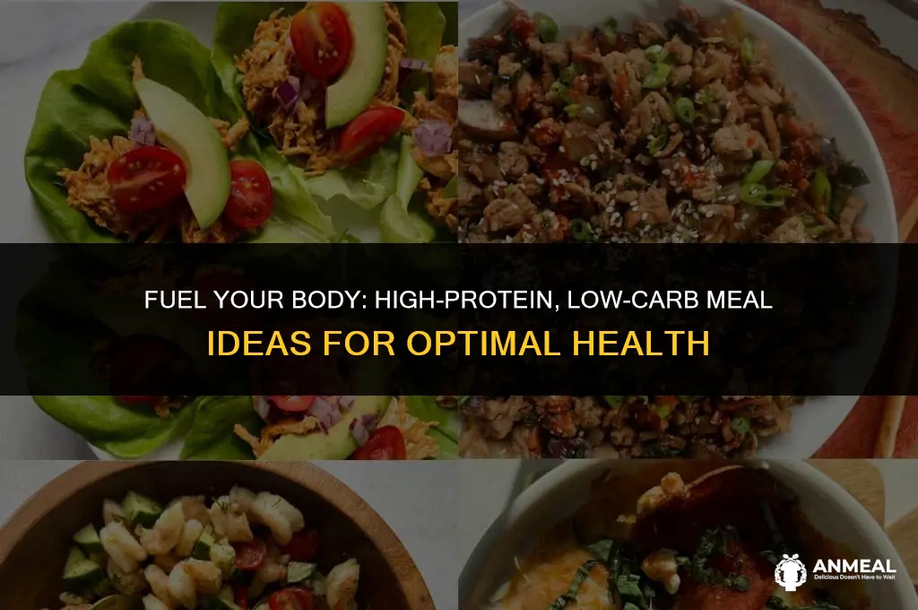 what to eat high protein low carb