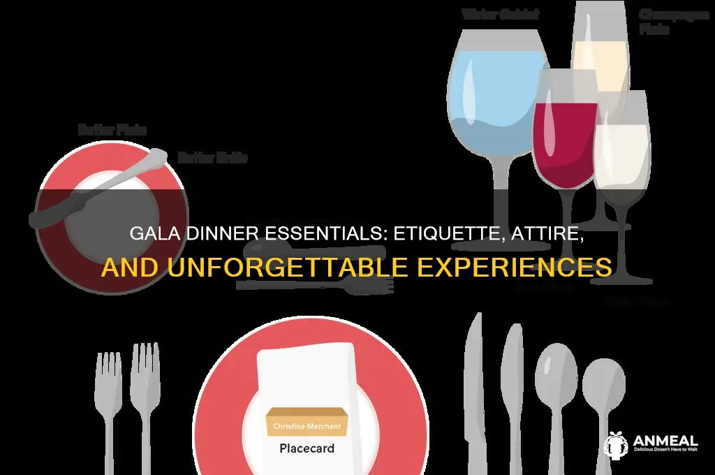 what to expect at a gala dinner