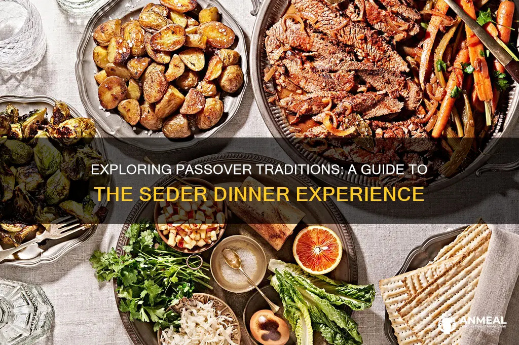 what to expect at a passover dinner
