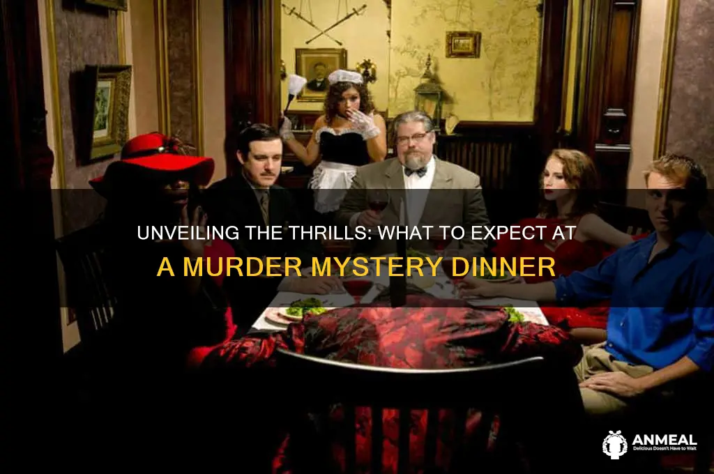 what to expect murder mystery dinner