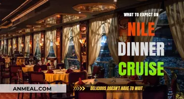 Nile Dinner Cruise: A Magical Evening of Food, Music, and Views