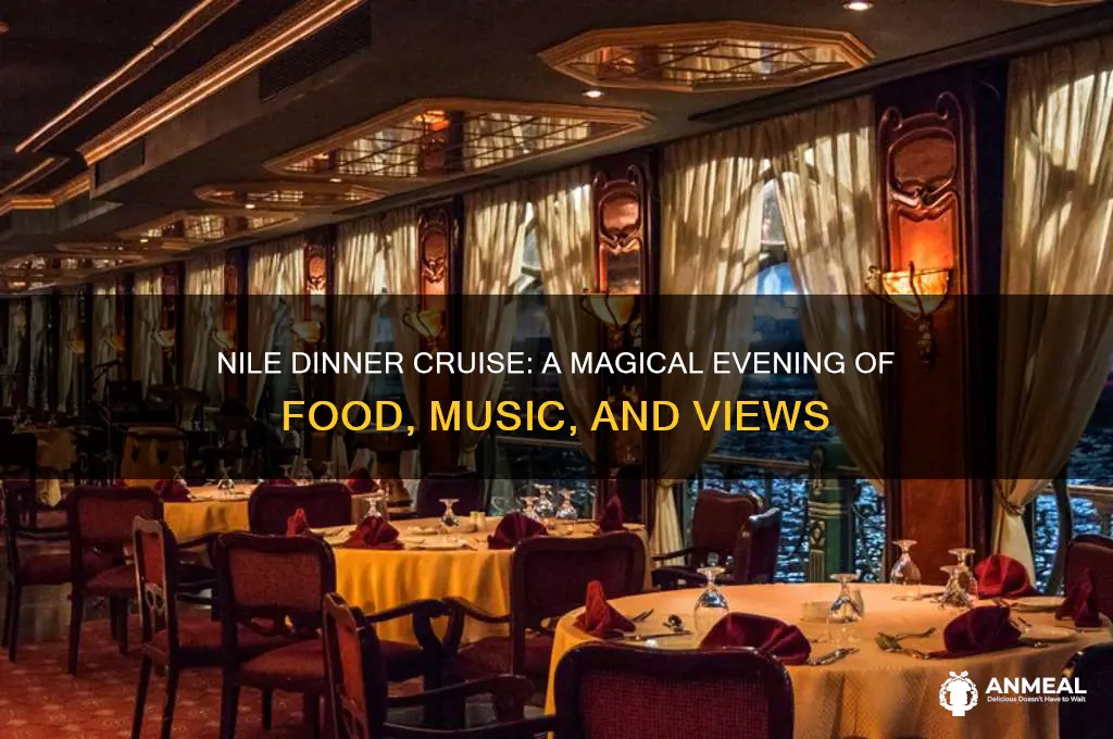 what to expect on nile dinner cruise