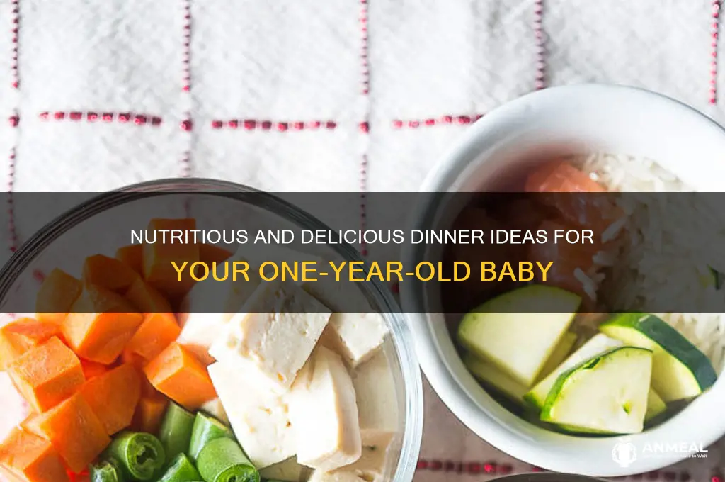 what to feed 1 year old baby for dinner