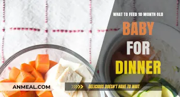 Nutritious Dinner Ideas for Your 10-Month-Old Baby's Healthy Growth