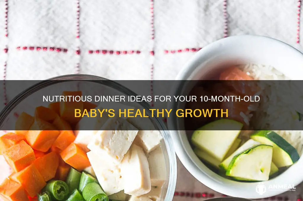 what to feed 10 month old baby for dinner