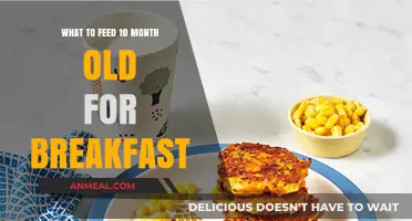 Healthy Breakfast Ideas for Your 10-Month-Old Baby