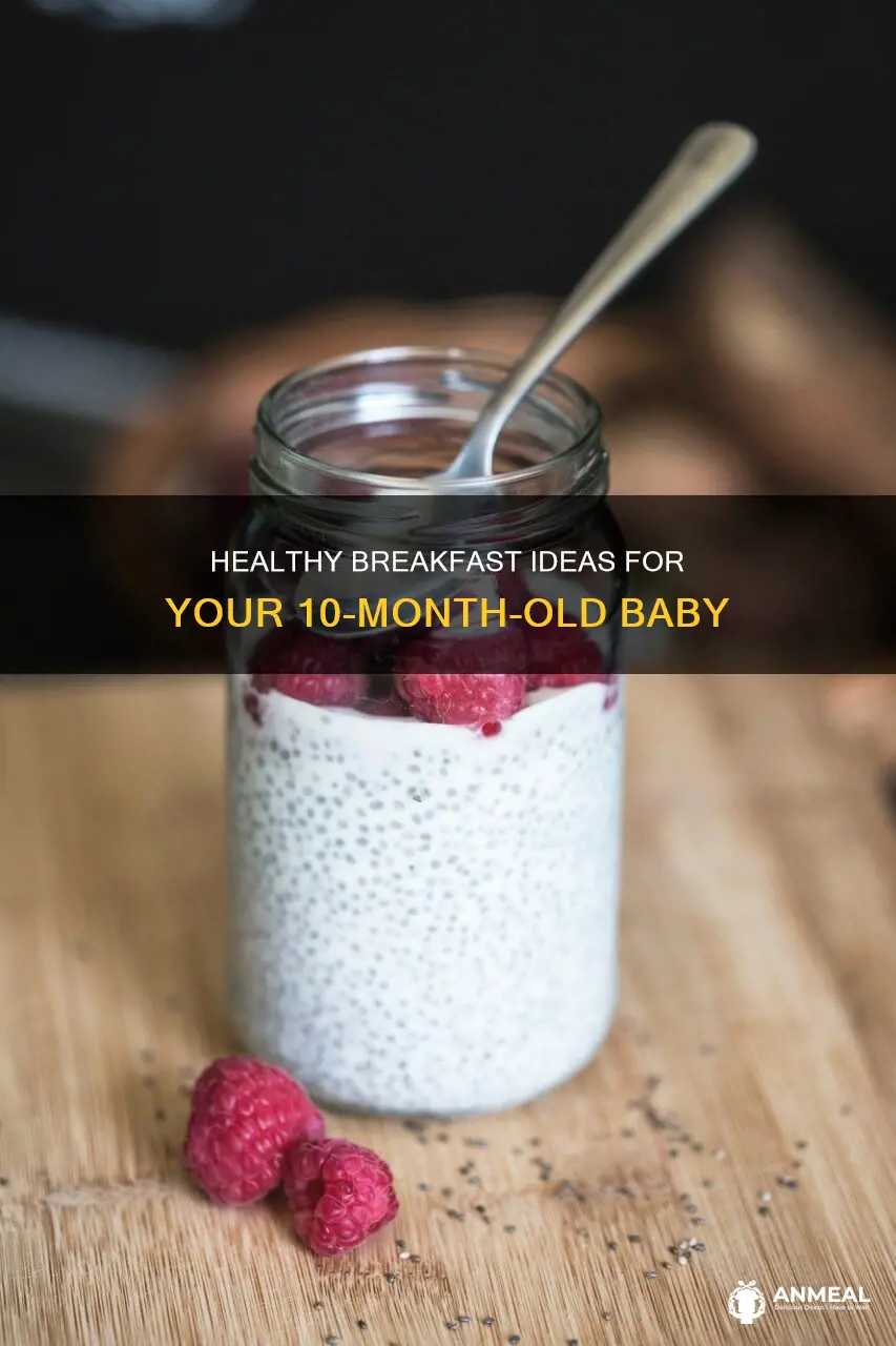 what to feed 10 month old for breakfast