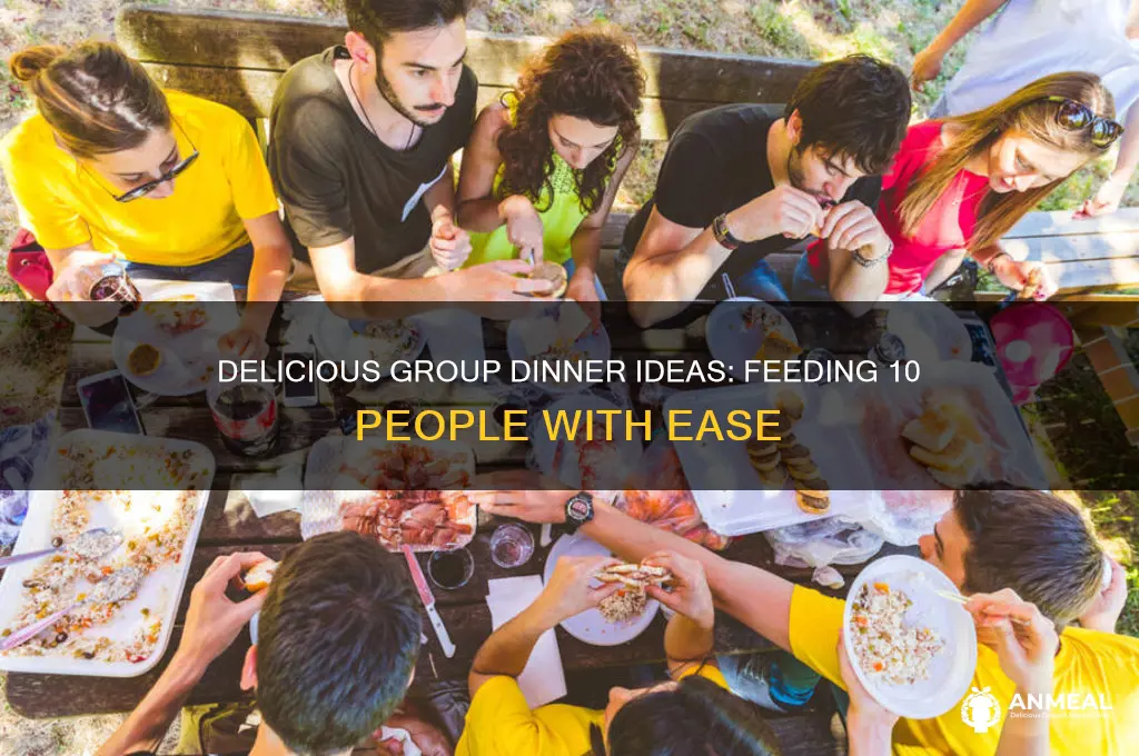 what to feed 10 people for dinner