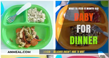Nutritious Dinner Ideas for Your 11-Month-Old Baby's Healthy Growth
