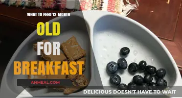 Healthy Breakfast Ideas for Your One-Year-Old's Morning Nutrition