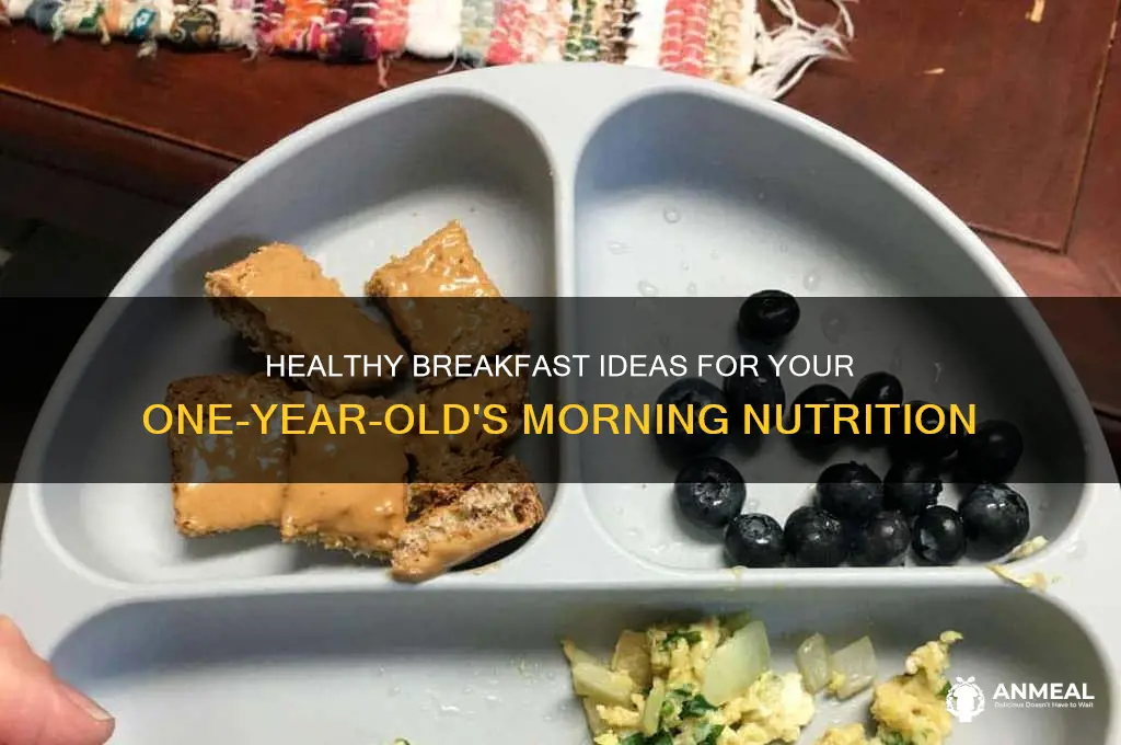 what to feed 12 month old for breakfast