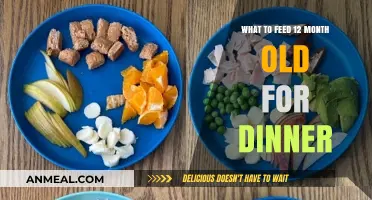 Nutritious Dinner Ideas for Your One-Year-Old's Balanced Meal Plan