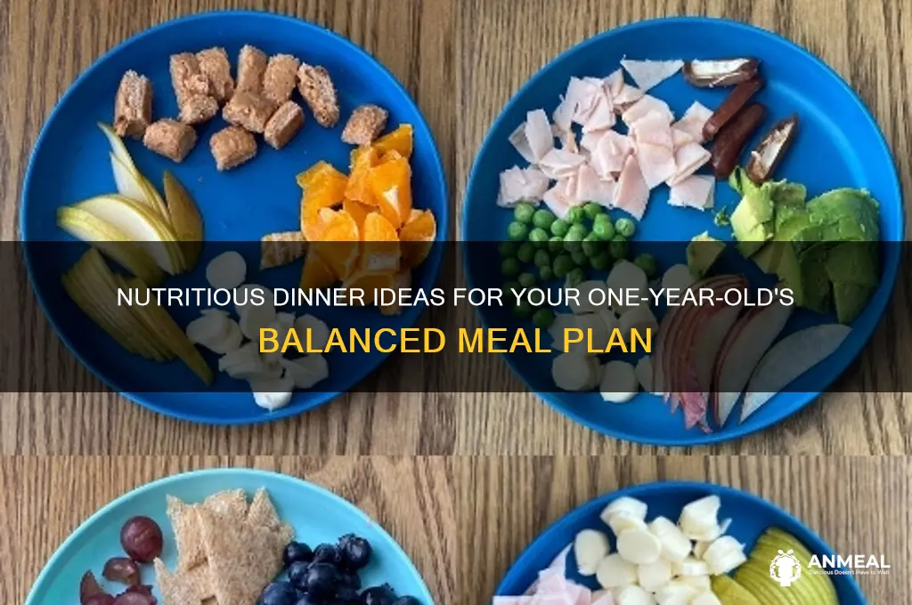 what to feed 12 month old for dinner
