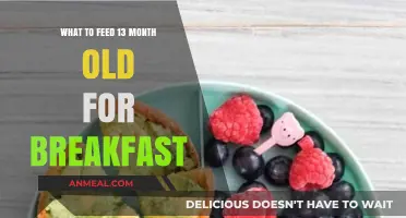 Nutritious Breakfast Ideas for Your 13-Month-Old Toddler