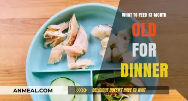 Nutritious and Easy Dinner Ideas for Your 13-Month-Old Toddler