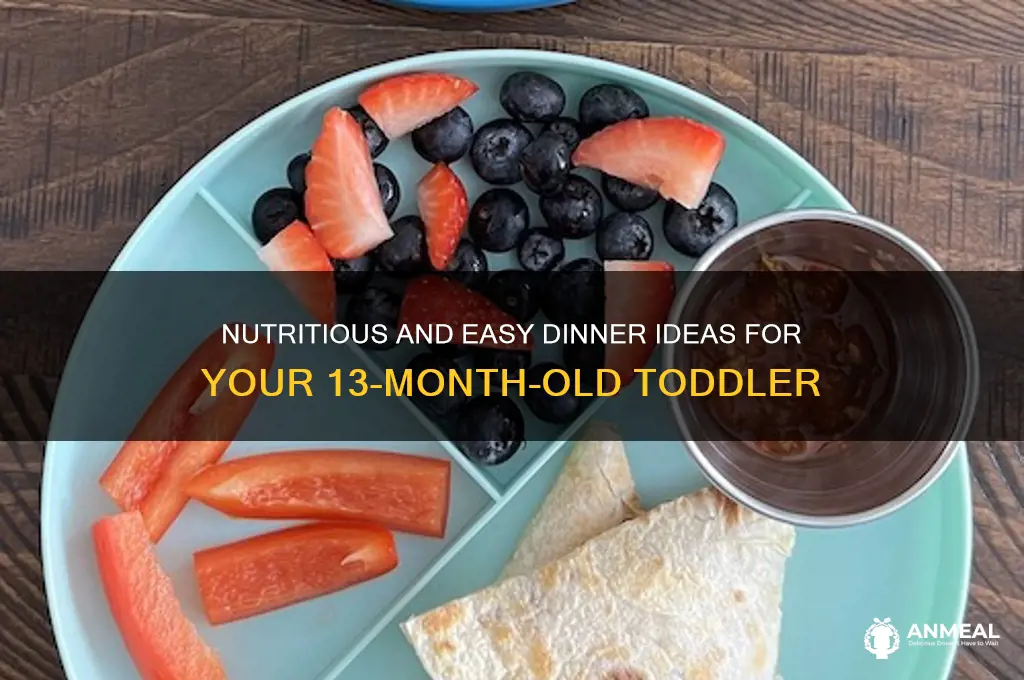 what to feed 13 month old for dinner