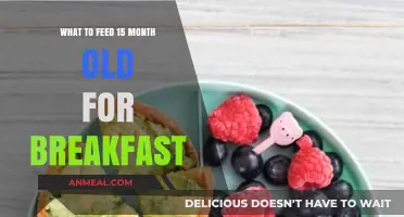 Nutritious Breakfast Ideas for Your 15-Month-Old Toddler