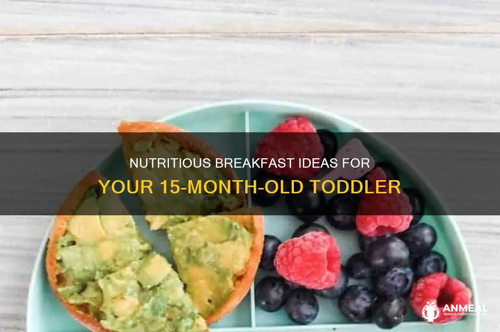 what to feed 15 month old for breakfast