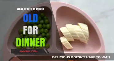 Nutritious and Easy Dinner Ideas for Your 15-Month-Old Toddler