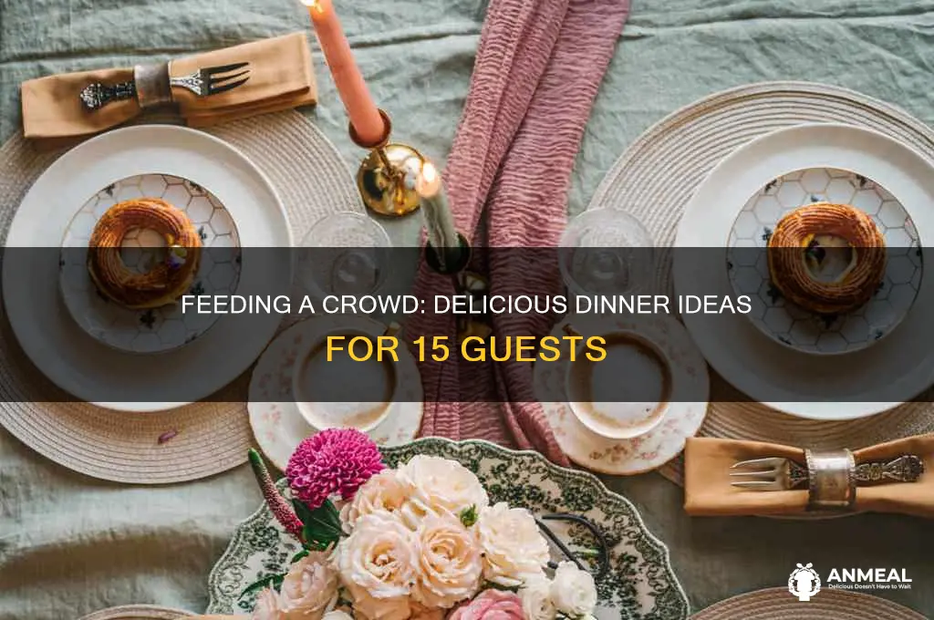 what to feed 15 people for dinner