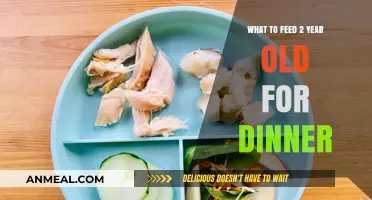 Nutritious and Delicious Dinner Ideas for Your Toddler's Healthy Growth