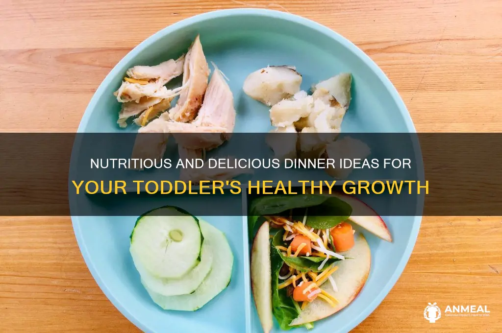 what to feed 2 year old for dinner