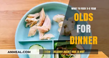 Nutritious Dinner Ideas for Toddlers: Healthy Meals for 3-5 Year Olds