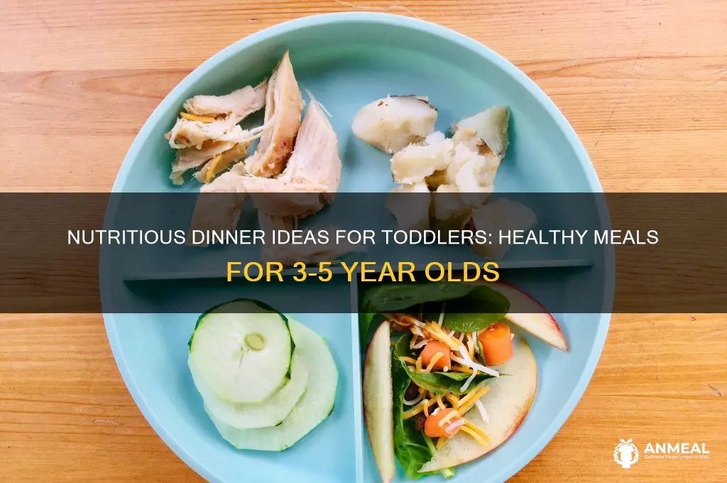 what to feed 3-5 year olds for dinner