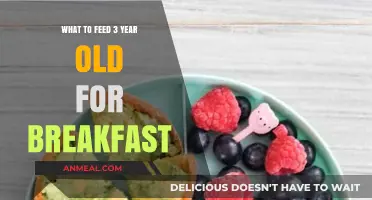 Nutritious Breakfast Ideas for Toddlers: Healthy Morning Meals for 3-Year-Olds