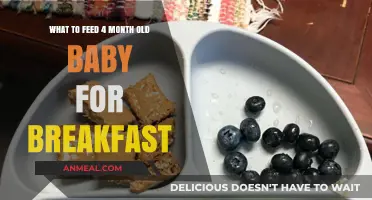 Nutritious Breakfast Ideas for Your 4-Month-Old Baby's Healthy Start