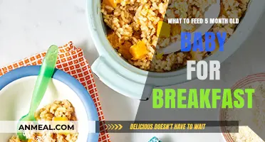 Nutritious Breakfast Ideas for Your 5-Month-Old Baby's Healthy Start