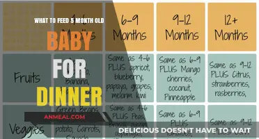 Nutritious Dinner Ideas for Your 5-Month-Old Baby's Healthy Growth