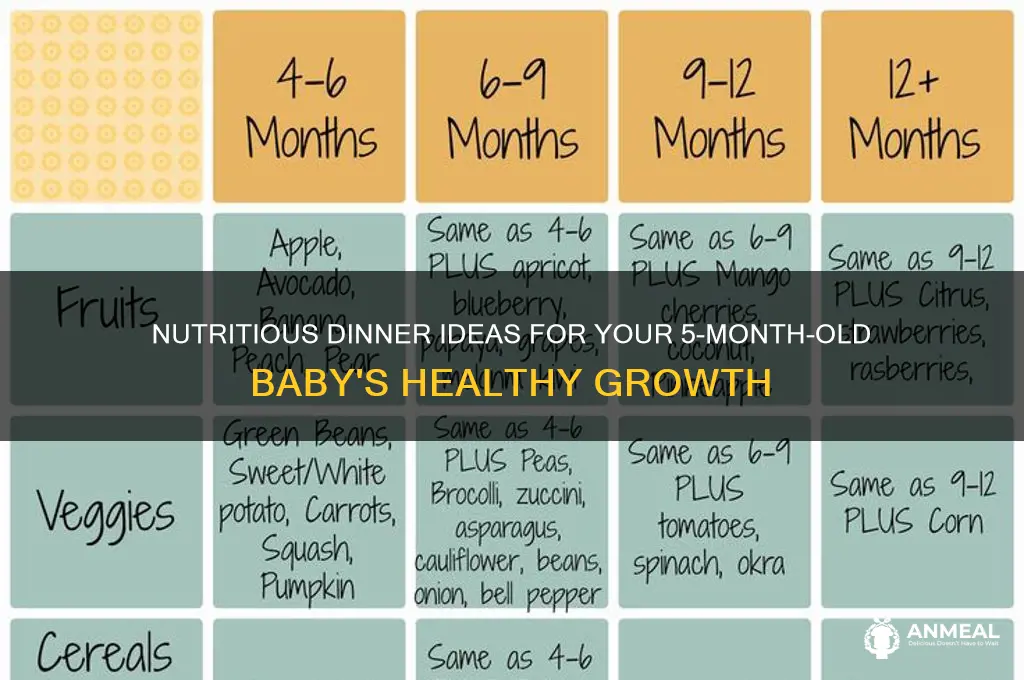 what to feed 5 month old baby for dinner