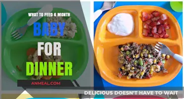 Nutritious and Easy Dinner Ideas for Your 6-Month-Old Baby