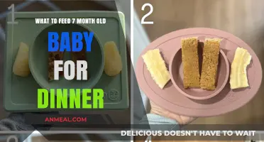 Nutritious Dinner Ideas for Your 7-Month-Old Baby's Healthy Growth