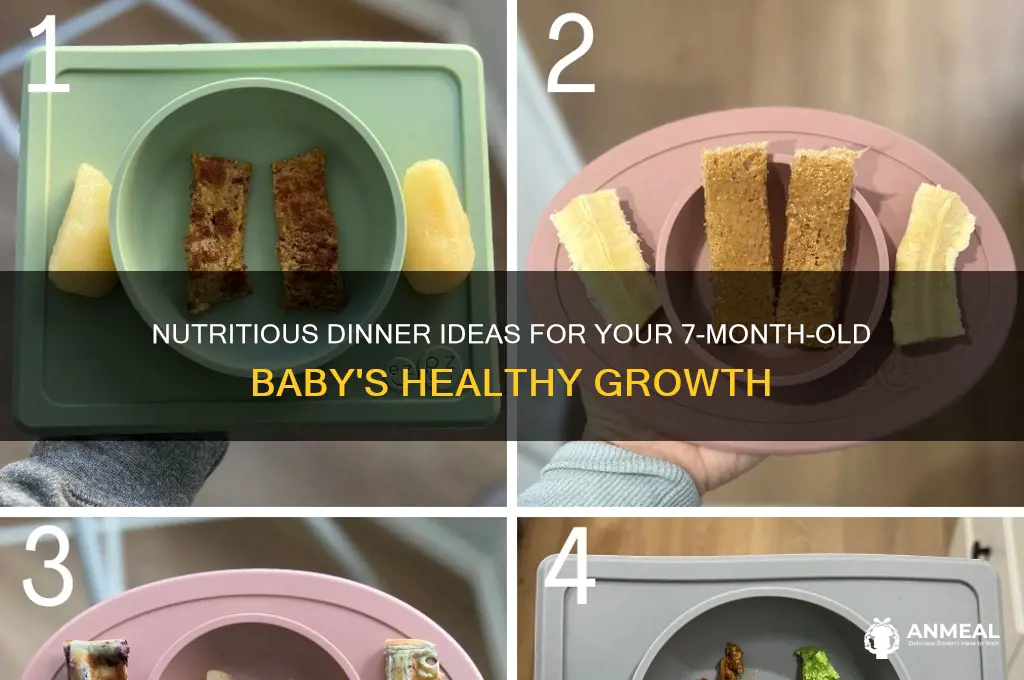 what to feed 7 month old baby for dinner