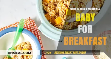 Nutritious Breakfast Ideas for Your 8-Month-Old Baby's Healthy Start