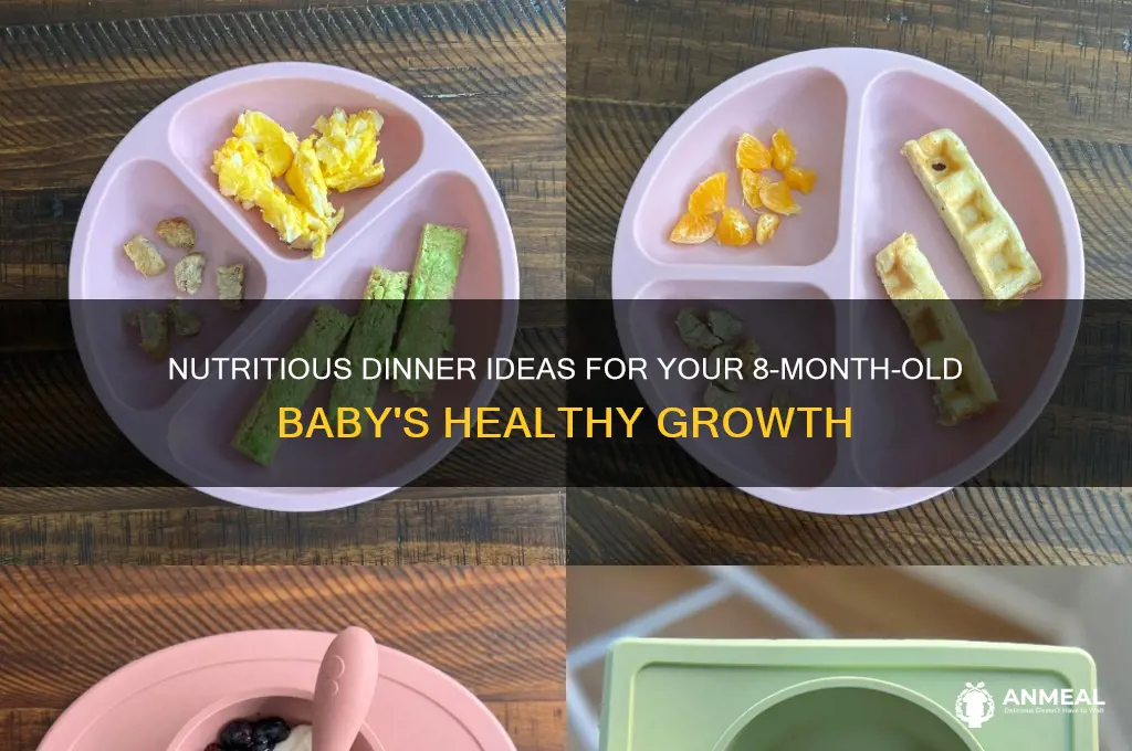 what to feed 8 month old baby for dinner